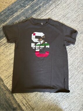 USC y2k vintage tee shirt California flag